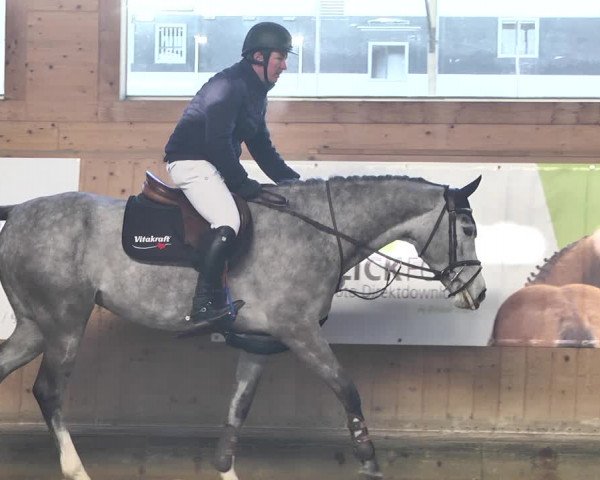 Reitturnier Gut Winkelacker/Obb. 2021