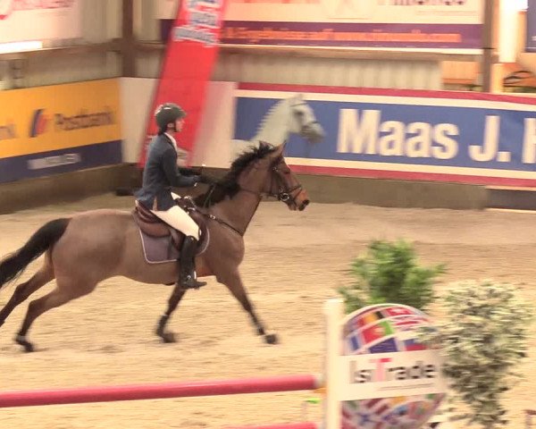 Reitturnier Negernbötel 2021, 11. Nordic Jumping event 2020/2021