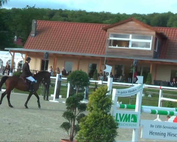 Springpferd La Conia (Hannoveraner, 2001, von Lordanos)