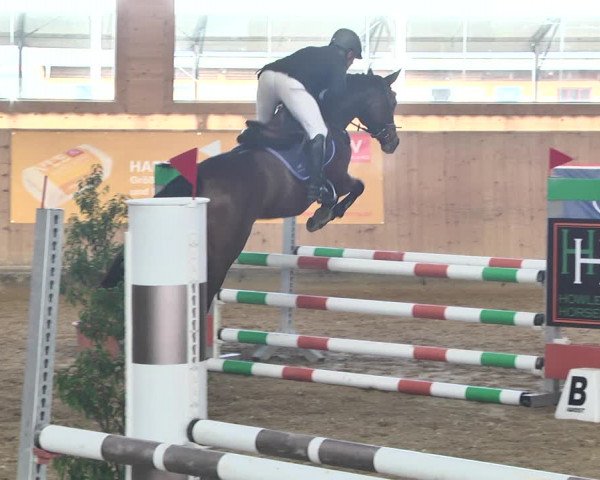 Reitturnier Gut Winkelacker/Obb. 2021