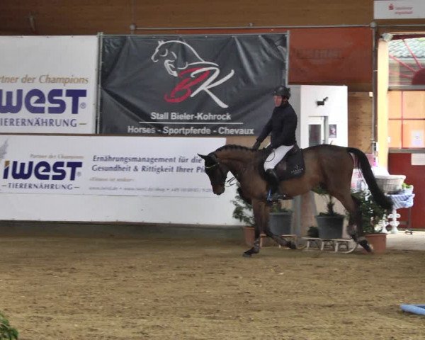 Reitturnier Gut Winkelacker/Obb. 2021