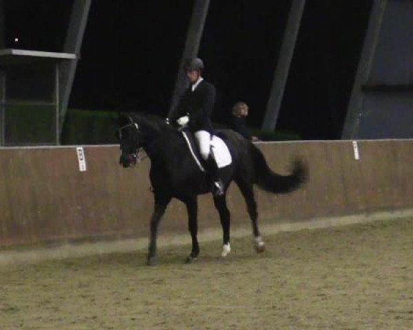 broodmare Deja-Vu B (Hanoverian, 2006, from Diamond Hit)