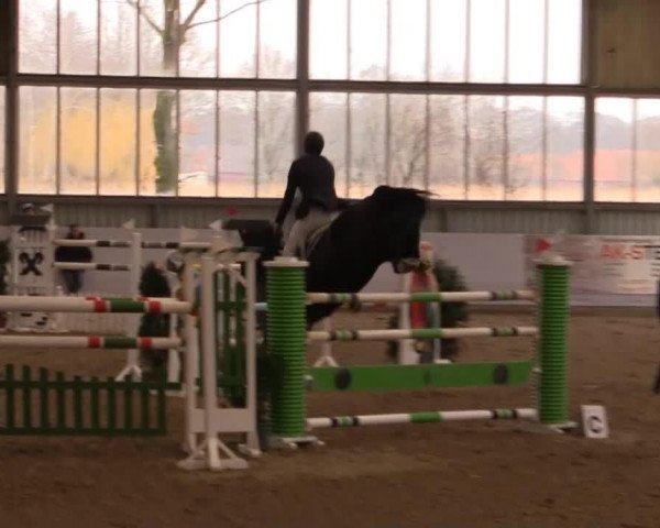 jumper Lothar 41 (Mecklenburg, 2007, from Lord Kemm)