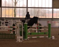 jumper Lothar 41 (Mecklenburg, 2007, from Lord Kemm)