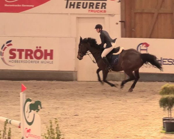 Reitturnier Negernbötel 2021, 11. Nordic Jumping event 2020/2021