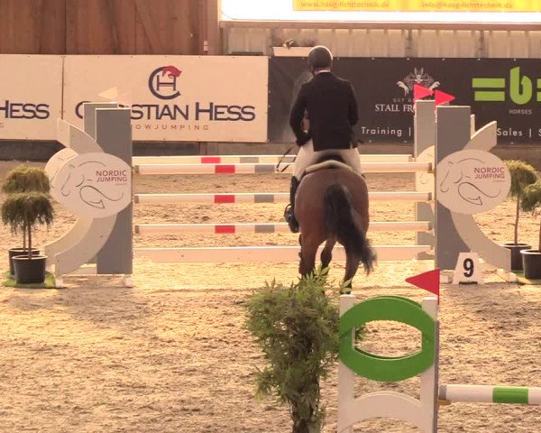 Reitturnier Negernbötel 2021, 11. Nordic Jumping event 2020/2021