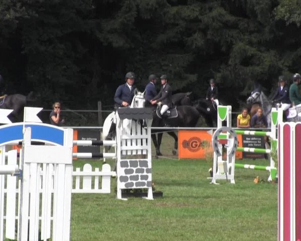 broodmare Caldera (Mecklenburg, 2003, from Cellestial)