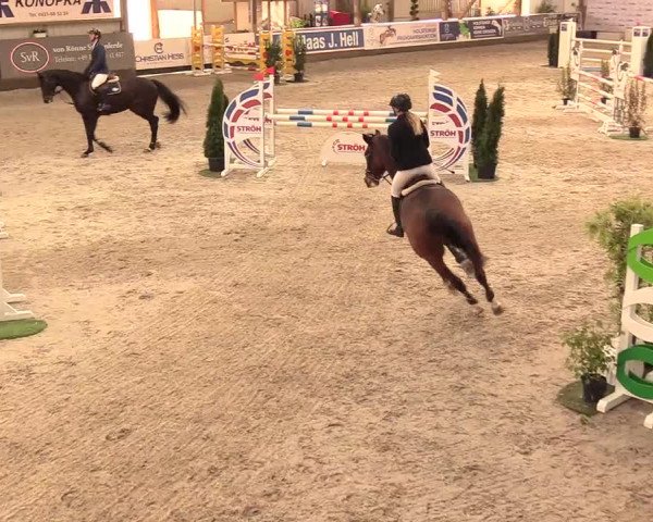 Reitturnier Negernbötel 2021, 11. Nordic Jumping event 2020/2021