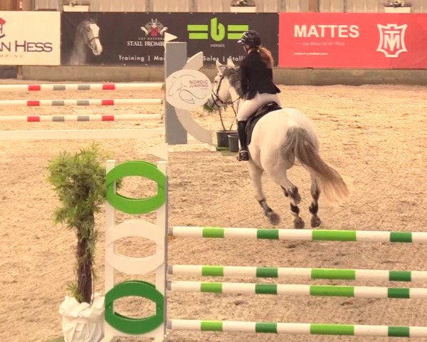 Reitturnier Negernbötel 2021, 11. Nordic Jumping event 2020/2021