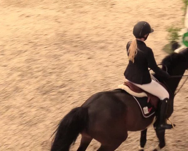 Reitturnier Negernbötel 2021, 11. Nordic Jumping event 2020/2021