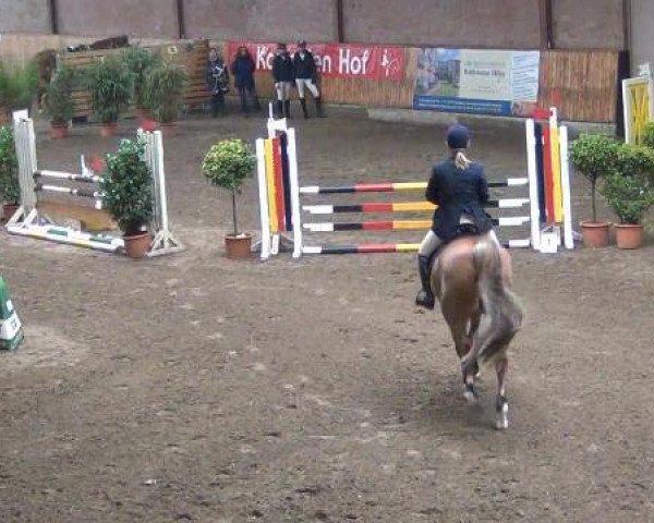 broodmare Converina (Mecklenburg, 2004, from Converter I)