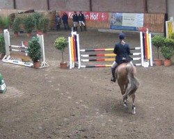 broodmare Converina (Mecklenburg, 2004, from Converter I)