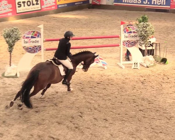 Reitturnier Negernbötel 2021, 11. Nordic Jumping event 2020/2021
