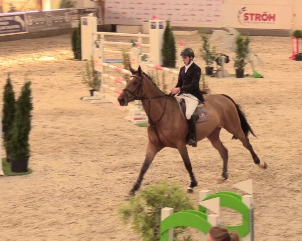 Reitturnier Negernbötel 2021, 11. Nordic Jumping event 2020/2021