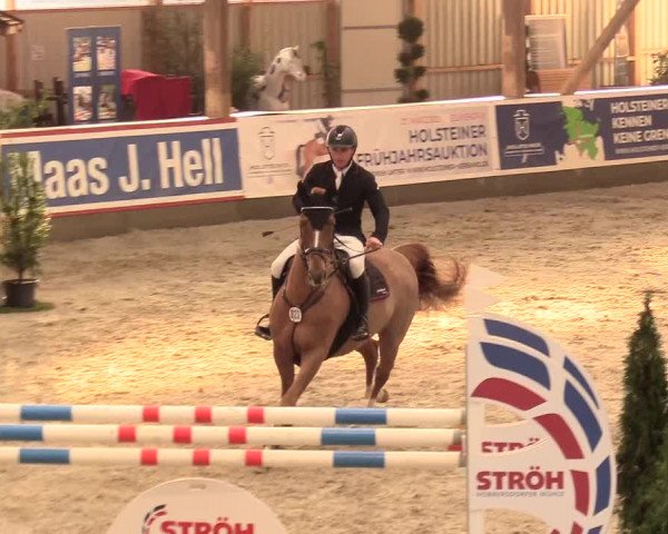 Reitturnier Negernbötel 2021, 11. Nordic Jumping event 2020/2021