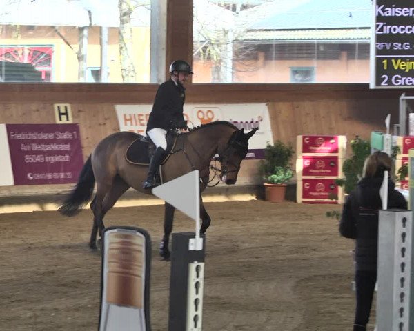 Reitturnier Gut Winkelacker/Obb. 2021