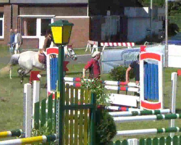 broodmare Baroness (German Riding Pony, 2001, from Lord)