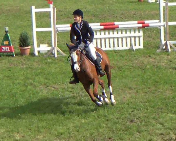 Springpferd Prinses Amalia (Deutsches Reitpony, 2006, von Playback)