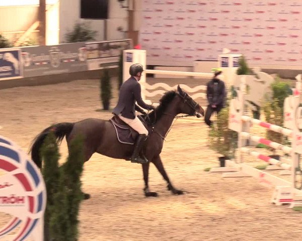 Reitturnier Negernbötel 2021, 11. Nordic Jumping event 2020/2021