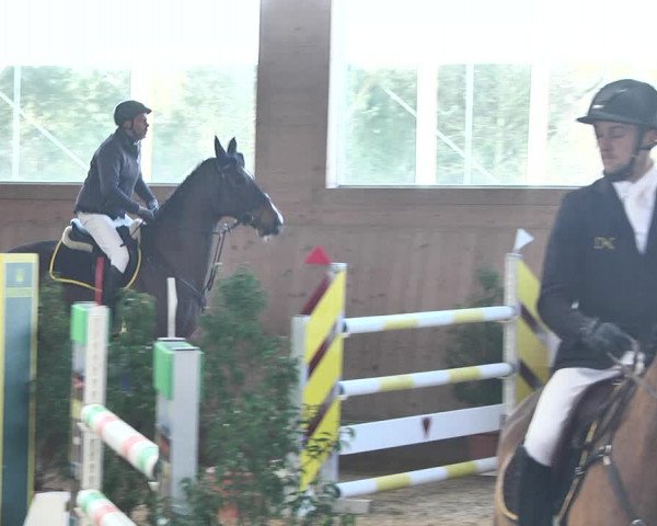 Reitturnier Gut Winkelacker/Obb. 2021