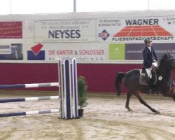 jumper Con-Parco Mb (Holsteiner, 2006, from Contender)