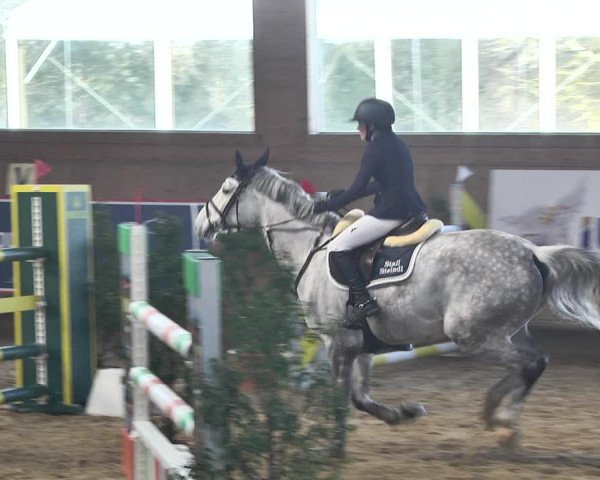 Reitturnier Gut Winkelacker/Obb. 2021