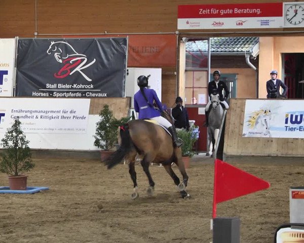 Reitturnier Gut Winkelacker/Obb. 2021