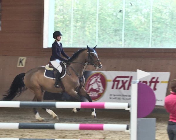 Reitturnier Gut Winkelacker/Obb. 2021
