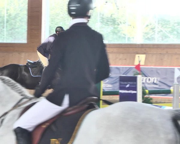 Reitturnier Gut Winkelacker/Obb. 2021