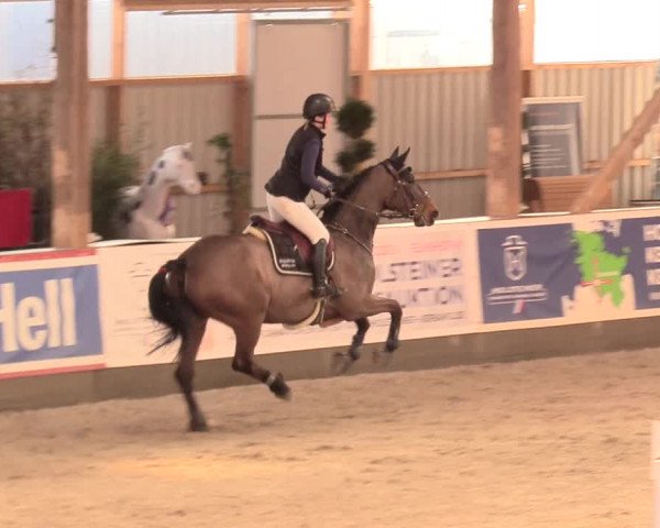 Reitturnier Negernbötel 2021, 11. Nordic Jumping event 2020/2021