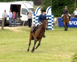 jumper Calippah (Holsteiner, 2006, from Casall Ask)