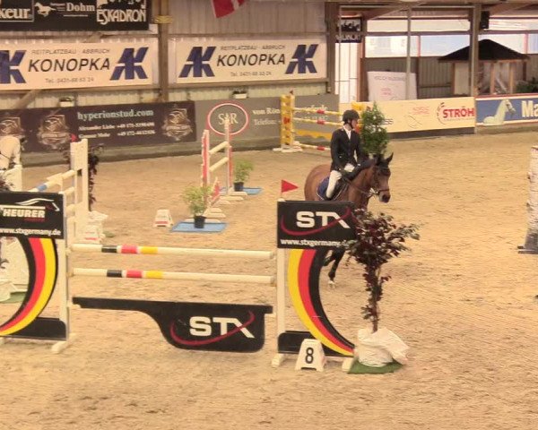 Reitturnier Negernbötel 2021, 11. Nordic Jumping event 2020/2021