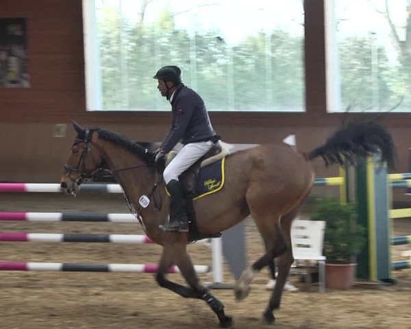 Reitturnier Gut Winkelacker/Obb. 2021