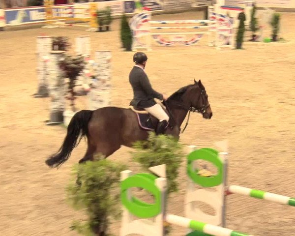 Reitturnier Negernbötel 2021, 11. Nordic Jumping event 2020/2021