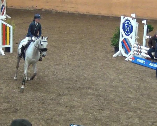 Springpferd Wonda 24 (Holsteiner, 2006, von Caitano)