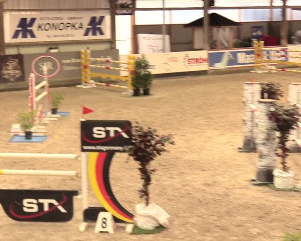 Reitturnier Negernbötel 2021, 11. Nordic Jumping event 2020/2021