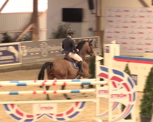 Reitturnier Negernbötel 2021, 11. Nordic Jumping event 2020/2021