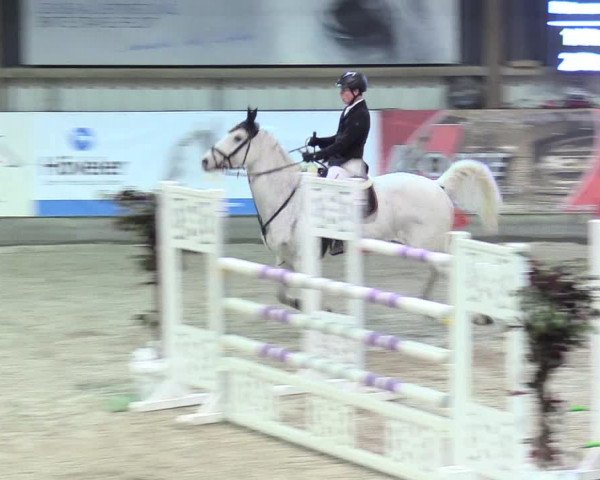 Reitturnier Negernbötel 2021, 11. Nordic Jumping event 2020/2021