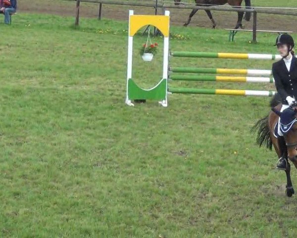 Zuchtstute Welischa (Holsteiner, 2006, von Easy Way I)