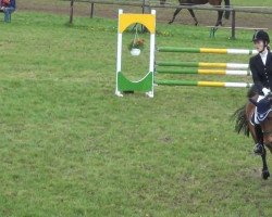 broodmare Welischa (Holsteiner, 2006, from Easy Way I)