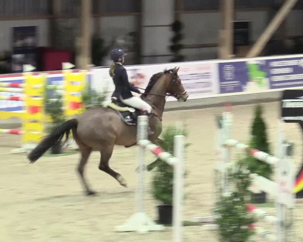 Reitturnier Negernbötel 2021, 11. Nordic Jumping event 2020/2021