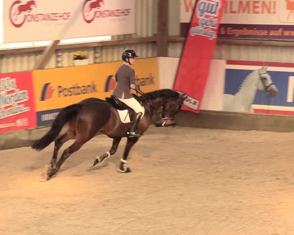 Reitturnier Negernbötel 2021, 11. Nordic Jumping event 2020/2021