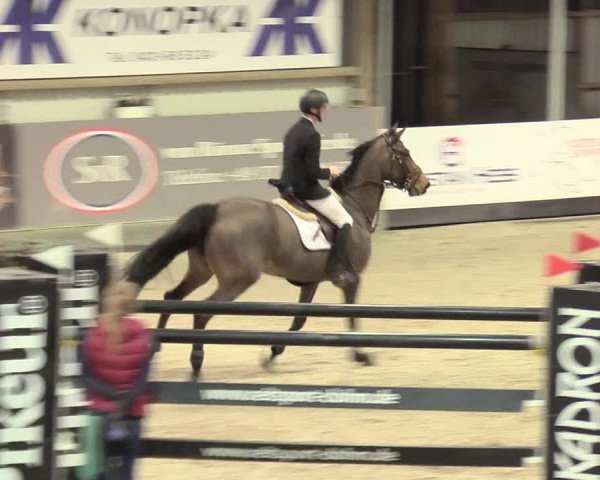 Reitturnier Negernbötel 2021, 11. Nordic Jumping event 2020/2021