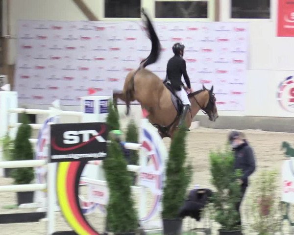Reitturnier Negernbötel 2021, 11. Nordic Jumping event 2020/2021