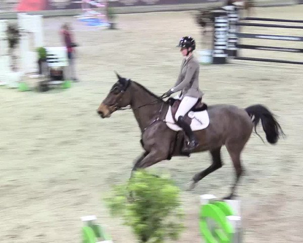 Reitturnier Negernbötel 2021, 11. Nordic Jumping event 2020/2021