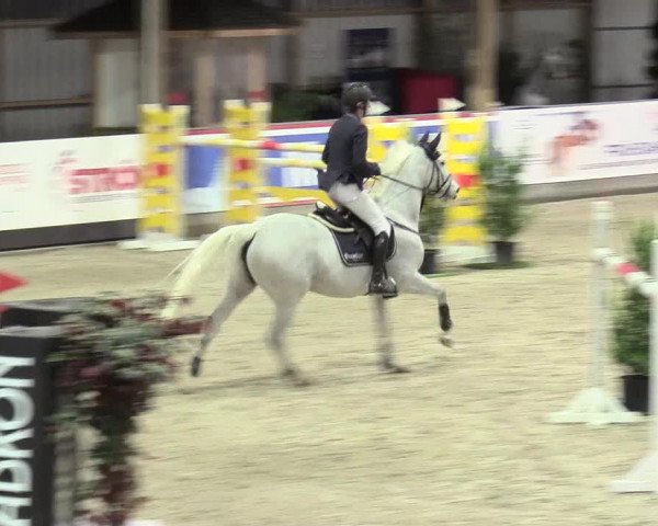 Reitturnier Negernbötel 2021, 11. Nordic Jumping event 2020/2021