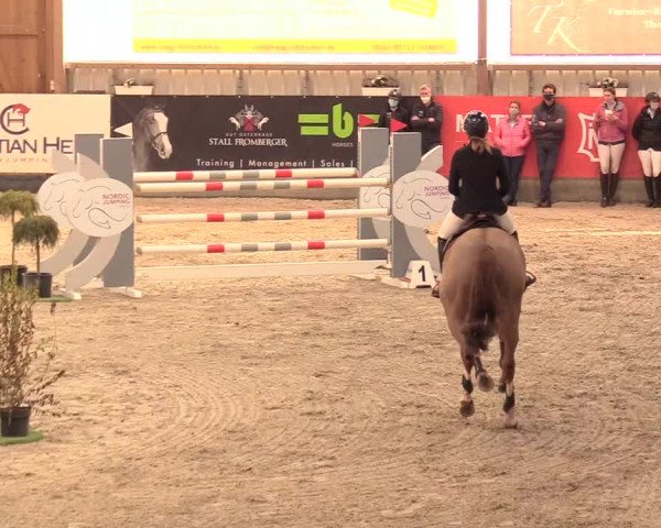 Reitturnier Negernbötel 2021, 11. Nordic Jumping event 2020/2021