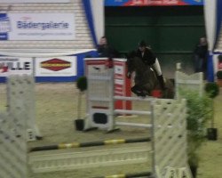 broodmare Parexcellence (Holsteiner, 2000, from Linaro)