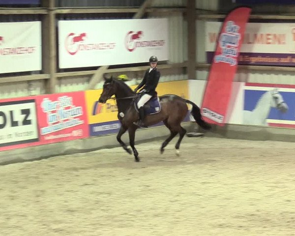 Reitturnier Negernbötel 2021, 11. Nordic Jumping event 2020/2021