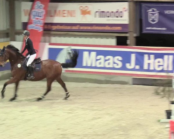 Reitturnier Negernbötel 2021, 11. Nordic Jumping event 2020/2021
